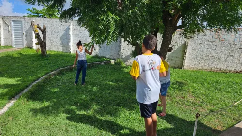 Atividade do projeto - Imagem 2